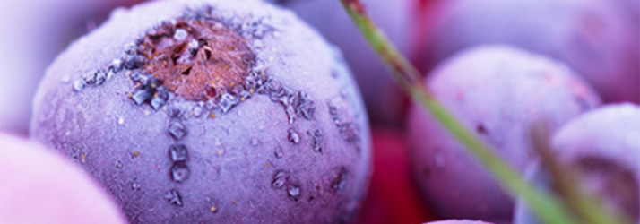 To Older Women, Blueberries Are More Than Just a Delicious Treat